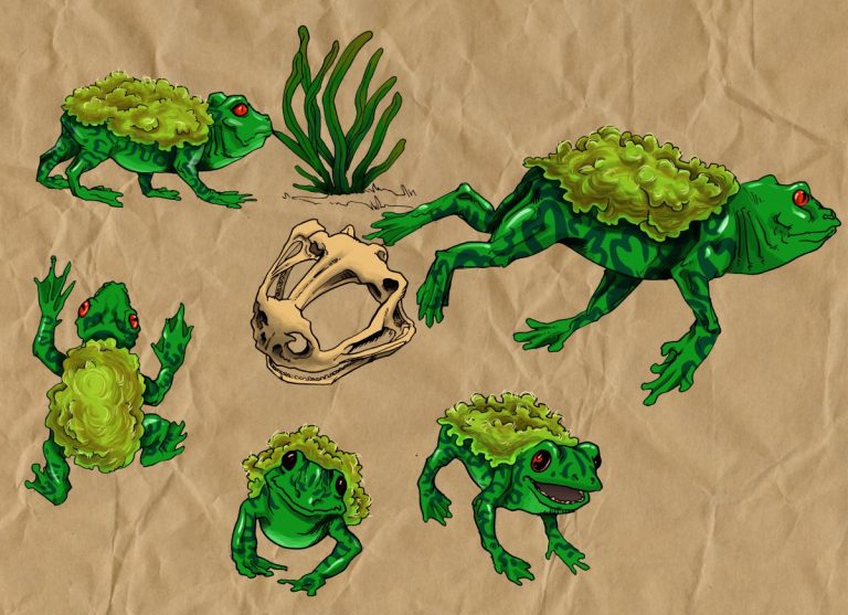 Un animal fantastique de 3ème Aube, la grenouille à laine.