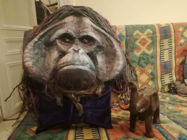 Gorille et éléphant Cabinet de curiosités