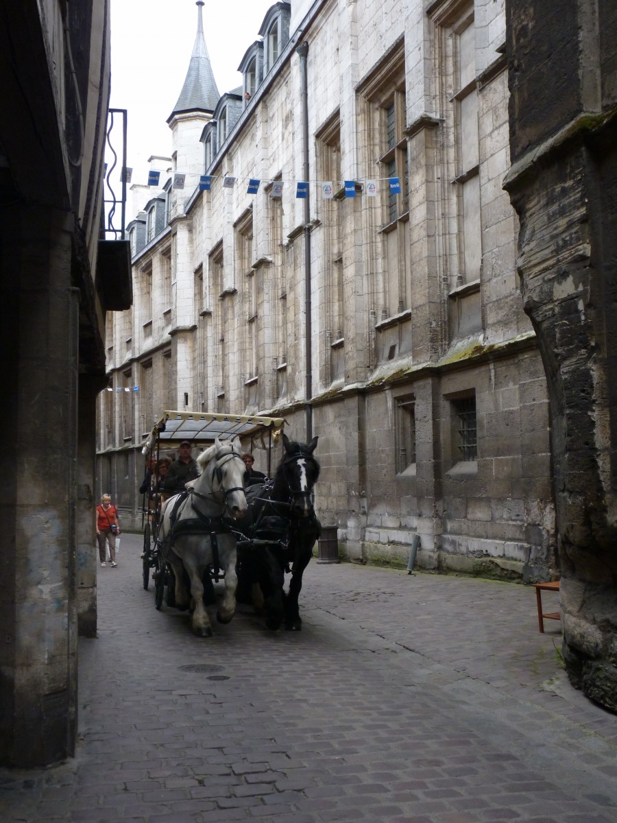 Calèche avec un cheval blanc et un cheval noir dans une rue pavée