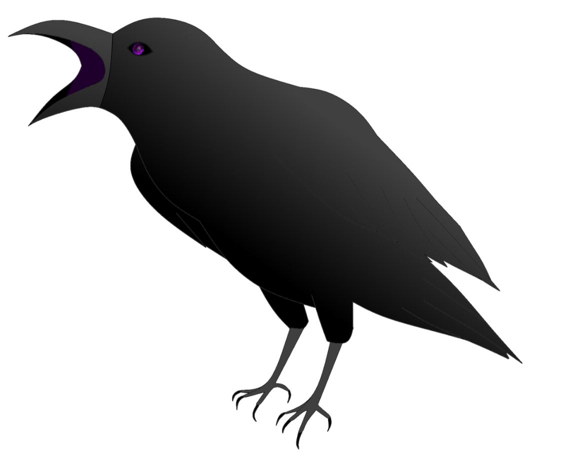 Corbeau noir simple avec œil violet très profond