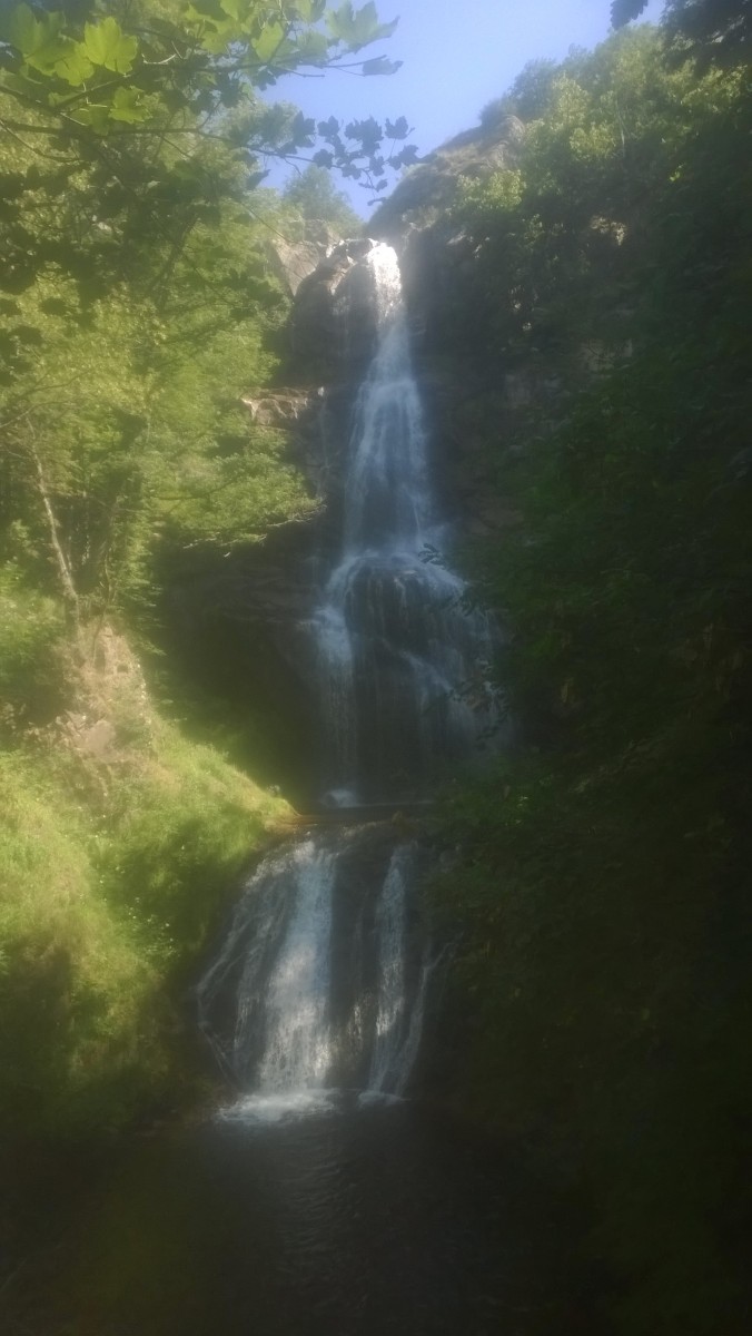 Cascade entourée de végétation